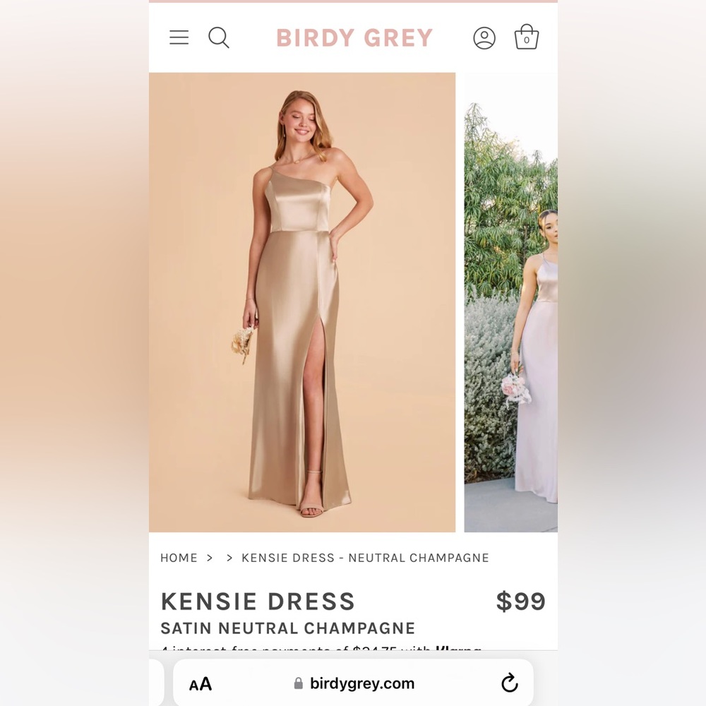 Kensie dress neutral champagne